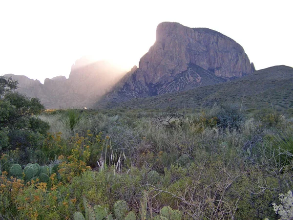 Kilátás Big Bend Nemzeti Park Texas — Stock Fotó