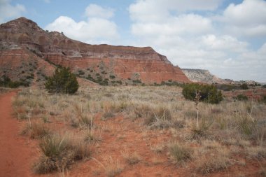Palo Duro Kanyonu Eyalet Parkı, Teksas