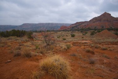 Palo Duro Kanyonu Eyalet Parkı, Teksas
