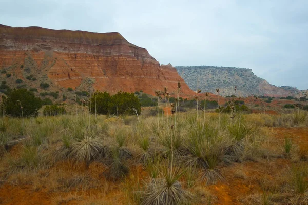 Palo Duro Canyon State Park Texas — Stock Photo, Image