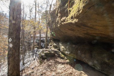 Hafif bir karın ardından sonbaharda Hemlock Cliffs, Indiana