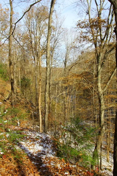 Hemlock Cliffs Outono Depois Uma Neve Leve Indiana — Fotografia de Stock