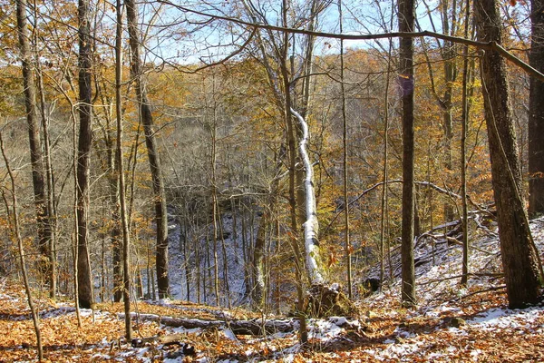 Hemlock Cliffs Jesienią Lekkim Śniegu Indiana — Zdjęcie stockowe