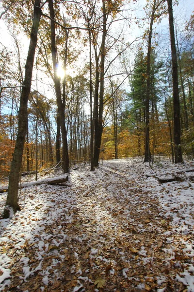 印第安纳小雪过后秋天的铁杉悬崖 — 图库照片
