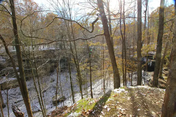 Scogliere Cicuta Autunno Dopo Una Leggera Neve Indiana — Foto Stock