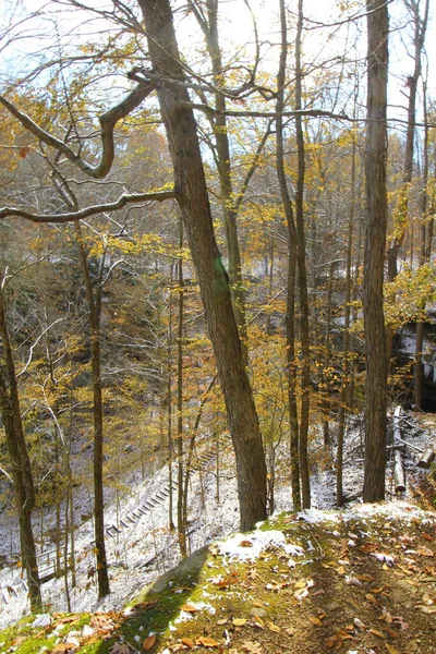 Hemlock Cliffs Autumn Light Snow Indiana — Stock Photo, Image