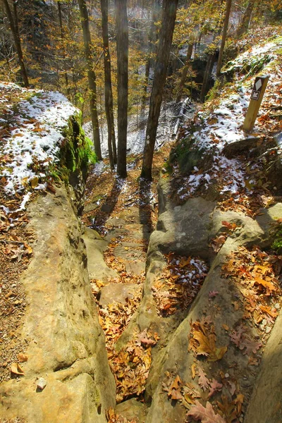 Hafif Bir Karın Ardından Sonbaharda Hemlock Cliffs Indiana — Stok fotoğraf