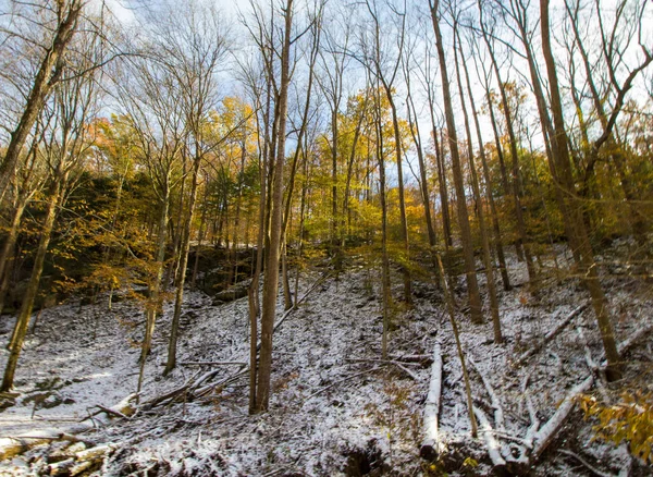 光の雪の後の秋のヘムロック崖 インディアナ州 — ストック写真
