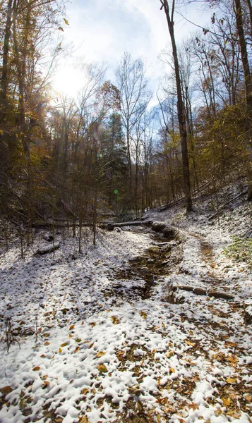 Bolehlav Útesy Podzim Mírném Sněhu Indiana — Stock fotografie