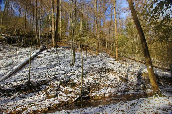 Falaises Pruche Automne Après Une Légère Neige Indiana — Photo