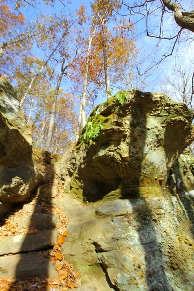 Hemlock Cliffs Jesienią Lekkim Śniegu Indiana — Zdjęcie stockowe