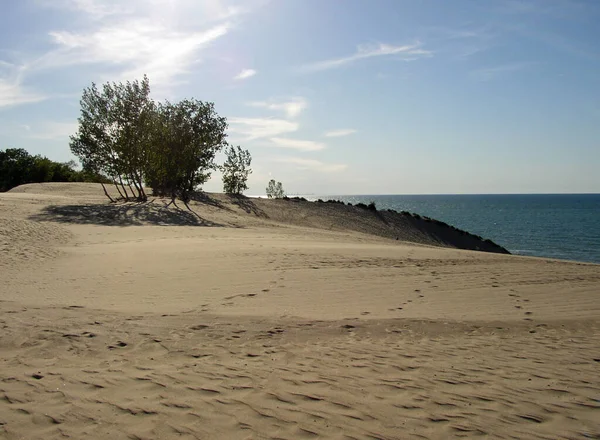 Parque Nacional Das Dunas Indiana — Fotografia de Stock