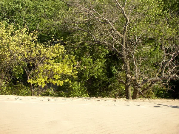 インディアナ 砂丘国立公園 — ストック写真