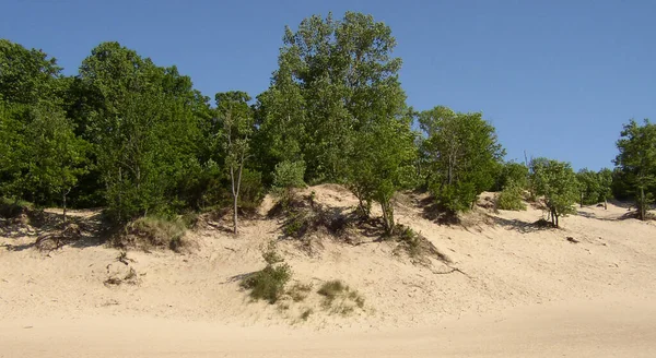 Parque Nacional Das Dunas Indiana — Fotografia de Stock