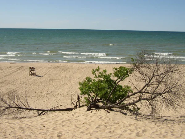 Parque Nacional Das Dunas Indiana — Fotografia de Stock