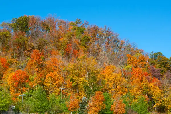 Vistas Del Sur Indiana —  Fotos de Stock