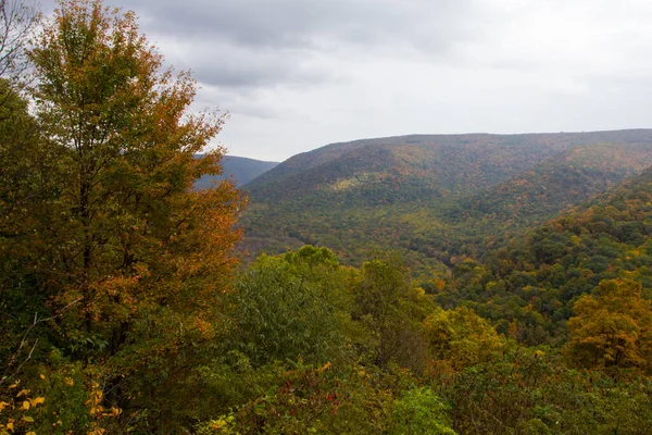 Ohiopyle State Park Pensylvánie — Stock fotografie