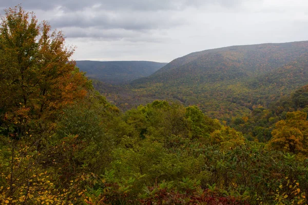 Ohiopyle State Park Pennsylvania — 스톡 사진