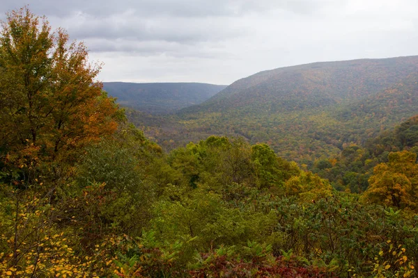 Ohiopyle State Park Pennsylvania — 스톡 사진