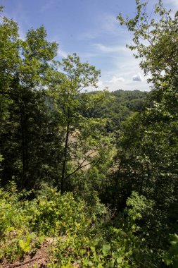 Cumberland Falls Eyalet Parkı, Kentucky