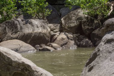 Cumberland Falls Eyalet Parkı, Kentucky