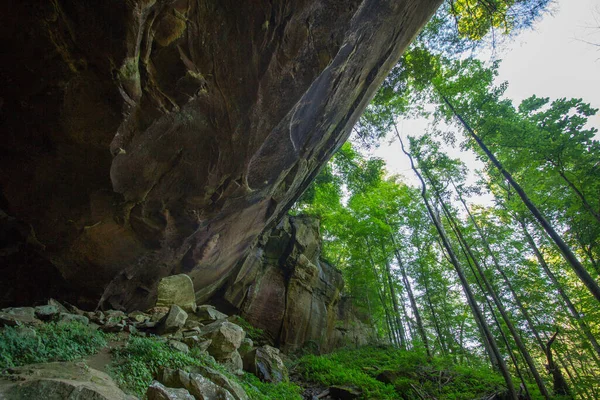 Région Yahoo Falls Kentucky — Photo