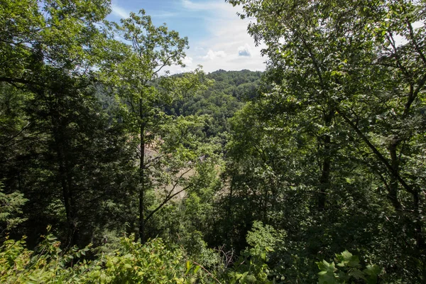 Cumberland Falls State Park Kentucky — 스톡 사진