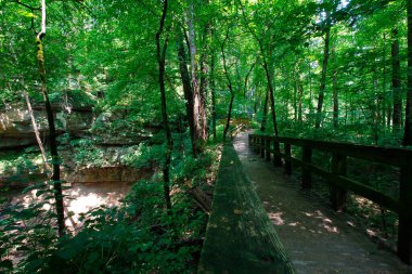 Cedar Bataklığı Yolu, Mamut Mağarası Ulusal Parkı, Kentucky