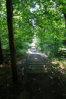 Cedar Bataklığı Yolu, Mamut Mağarası Ulusal Parkı, Kentucky