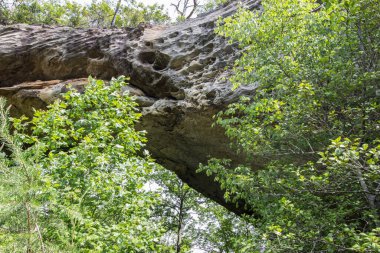 Doğal Kemer Sahnesi Bölgesi, Kentucky