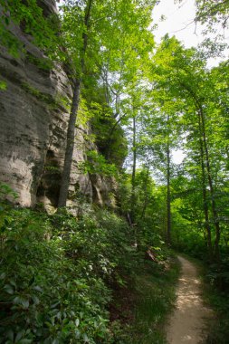 Doğal Kemer Sahnesi Bölgesi, Kentucky