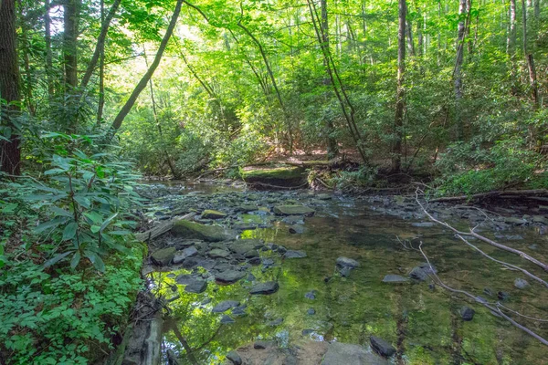 Dog Slaughter Creek Kentucky —  Fotos de Stock