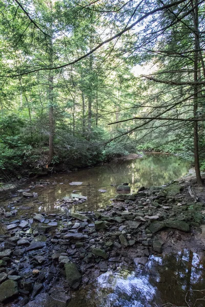 Dog Slaughter Creek Kentucky — Fotografia de Stock