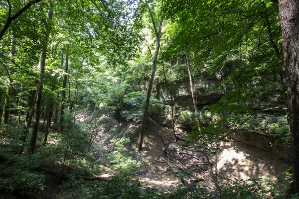 Výhled Cedar Sink Trail Mamutí Jeskyně Kentucky — Stock fotografie