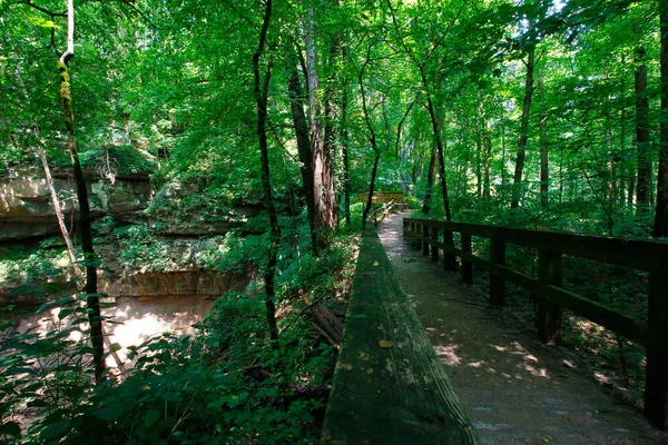 Vistas Trilha Dissipador Cedro Parque Nacional Caverna Mamute Kentucky — Fotografia de Stock