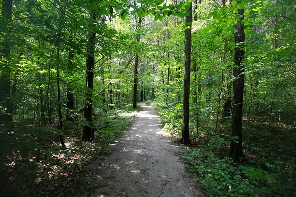 Vue Depuis Sentier Cedar Sink Parc National Mammoth Cave Kentucky — Photo