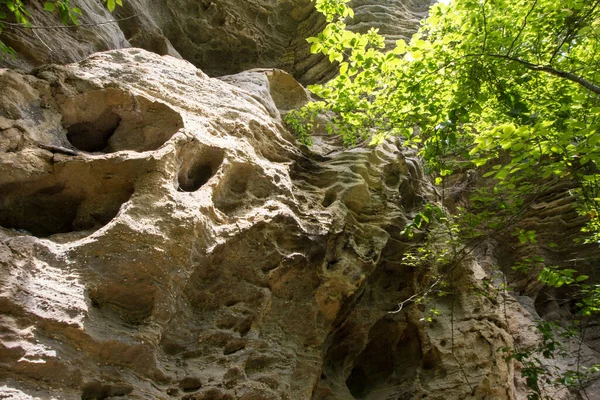 Naturalny Arch Scenic Area Kentucky — Zdjęcie stockowe