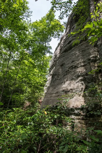 Área Cênica Arco Natural Kentucky — Fotografia de Stock
