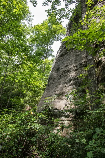 Naturlig Arch Scenic Area Kentucky — Stockfoto