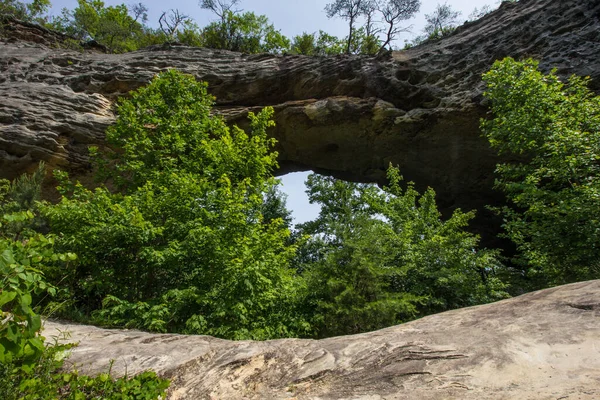 Natuurgebied Van Boog Kentucky — Stockfoto