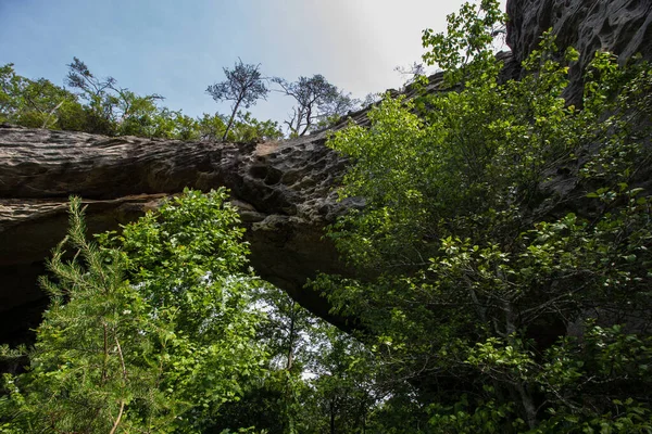 Naturalny Arch Scenic Area Kentucky — Zdjęcie stockowe