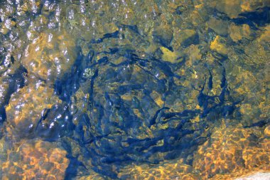 Charlevoix Güney Plier Işık İstasyonu, Charlevoix, Michigan