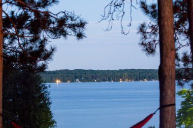 Michigan Elk Gölü 'ne ve çevresine bakıyor