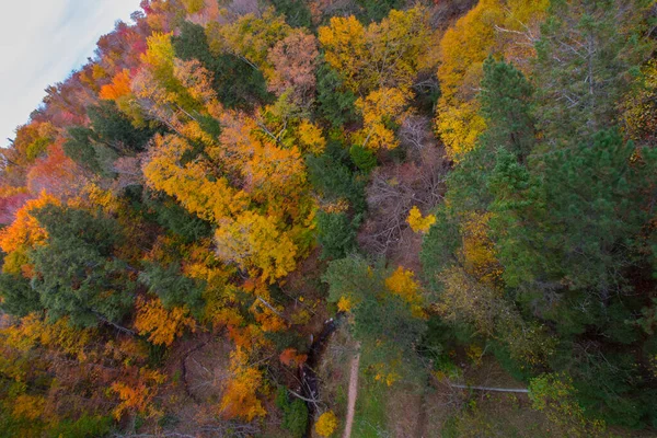 Cut River Valley Övre Halvön Michigan — Stockfoto