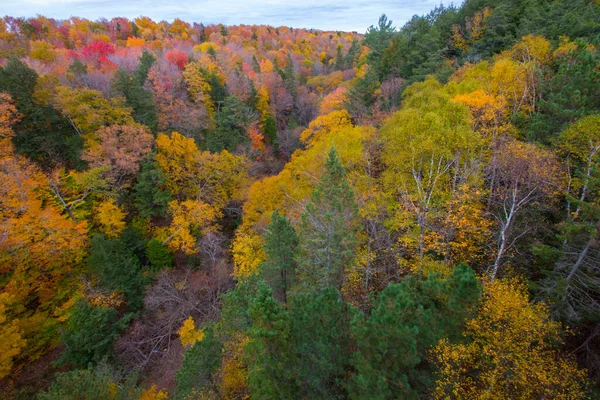 Cut River Valley Península Superior Michigan — Fotografia de Stock