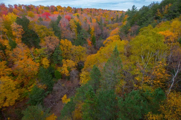 Cut River Valley Övre Halvön Michigan — Stockfoto