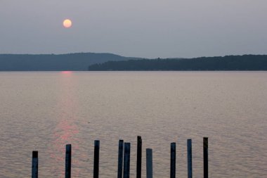 Michigan Elk Gölü 'ne ve çevresine bakıyor