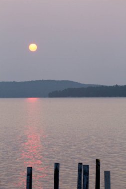 Michigan Elk Gölü 'ne ve çevresine bakıyor