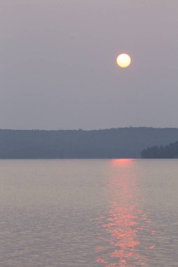 Michigan Elk Gölü 'ne ve çevresine bakıyor