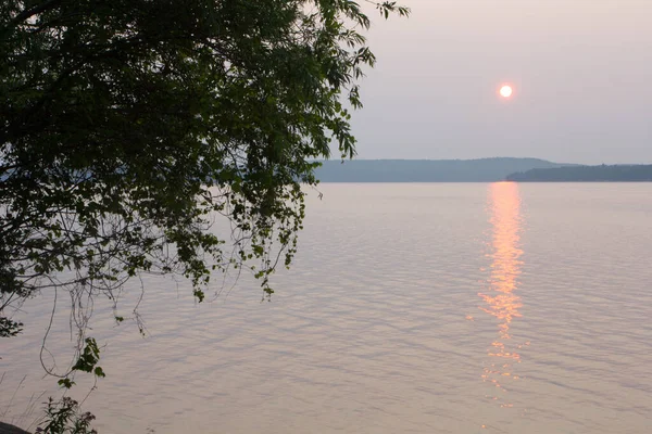 Вид Озеро Элк Окрестности Штат Мичиган — стоковое фото